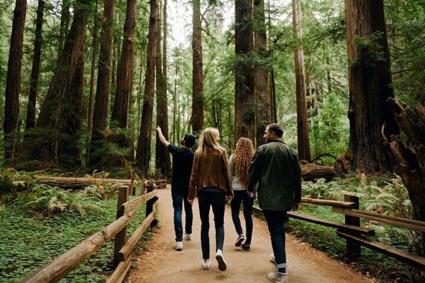 Small Group Tour: San Francisco and Muir Woods with Lunch in Sausalito 