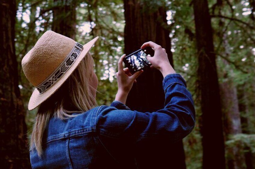 Adventure over an hour amongst the giant redwoods in majestic Muir Woods!