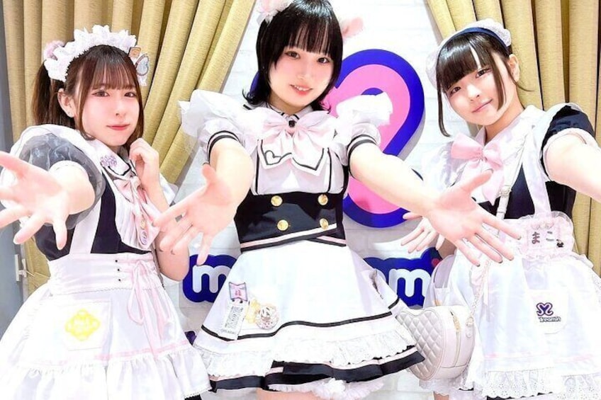 Akihabara Anime & Gaming Adventure Walking Tour
