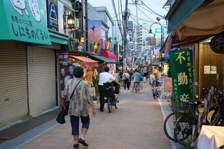 Yanaka Historical Walking Tour in Tokyo's Old Town