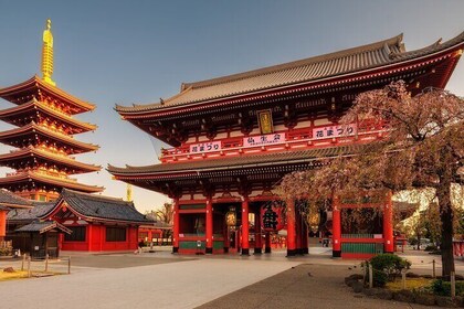 Privésightseeingtour van 1 dag door Tokio - Engelssprekende chauffeur