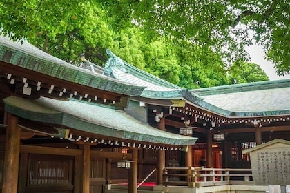 Tour di guida privata di Tokyo in auto o furgone con autista