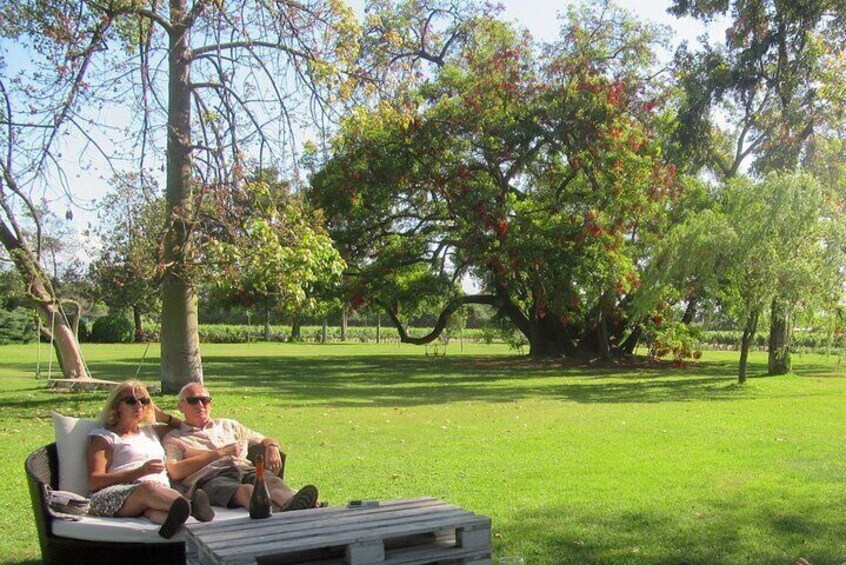 Maipo Valley Top Wineries Private Tours and Tastings from Santiago