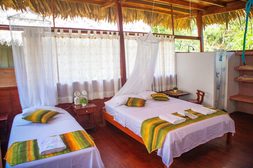 3-Day Amazon Jungle Tour at Avatar Amazon Lodge