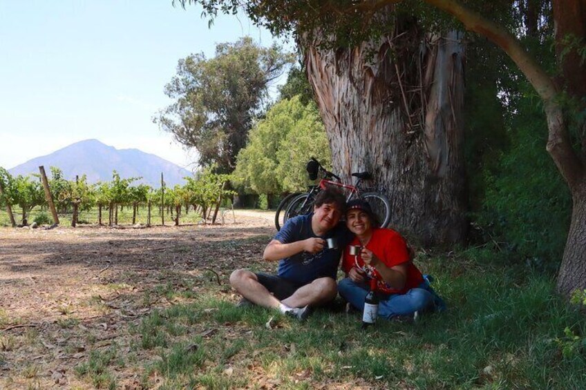 Stop for a toast under the old tree