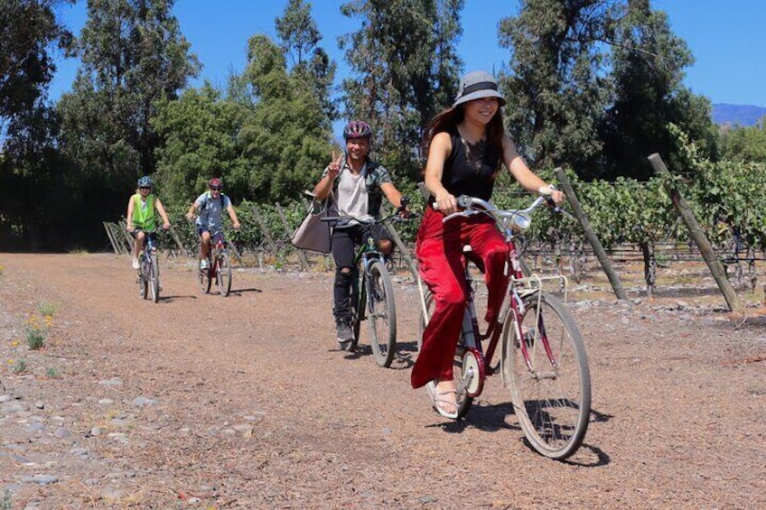 Cycling among the vineyards