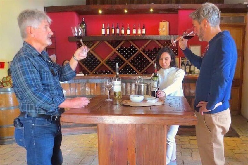 In Situ winery. Aconcagua Valley