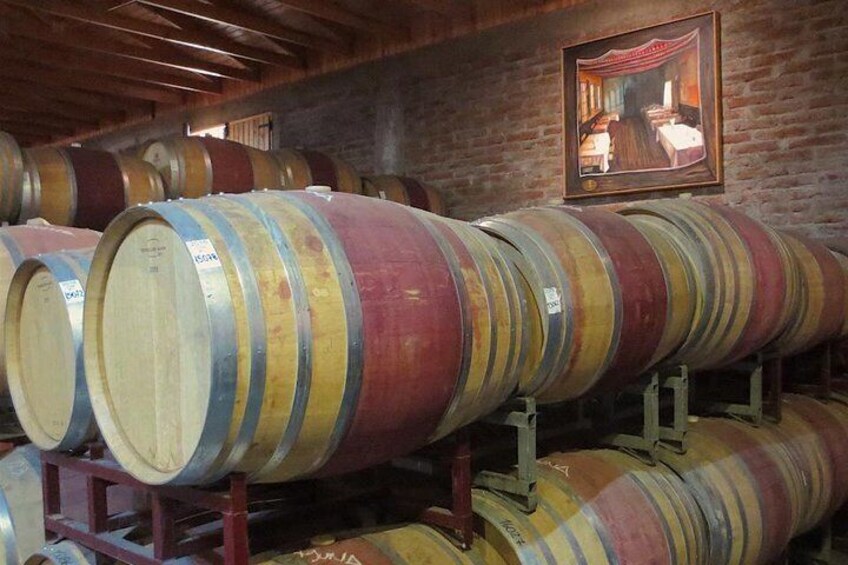 San Estaban Winery. Aconcagua Valley