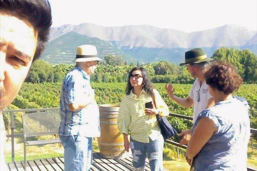 Peumayen vineyard. Aconcagua Valley