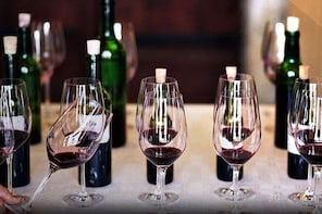 Private Napa Valley Wine Tour - 8 Hour Luxury SUV