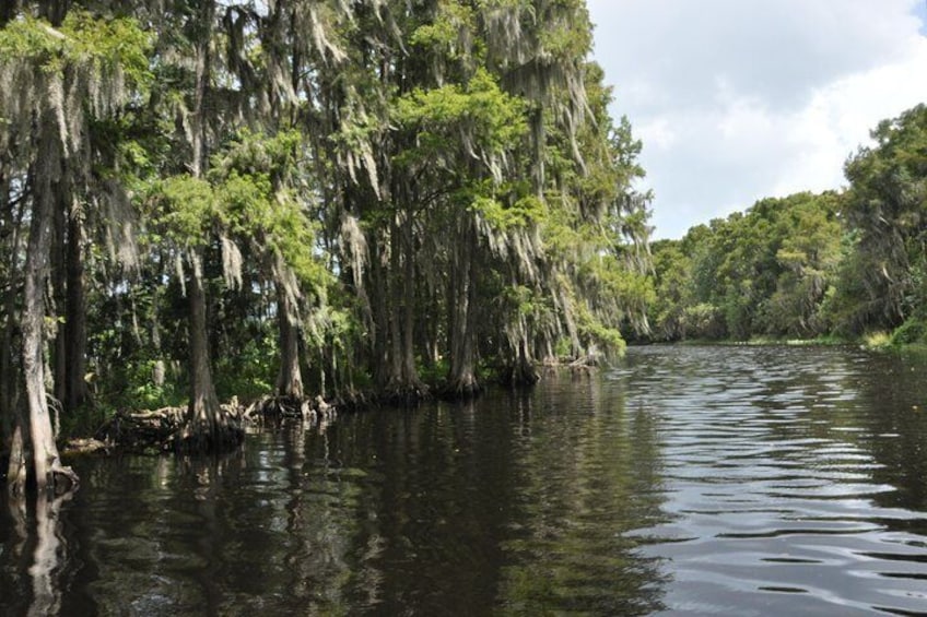 Heading to Shingle Creek