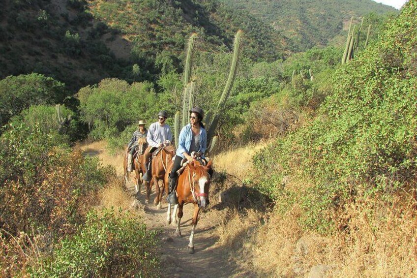 Horseback Riding in the Cordillera