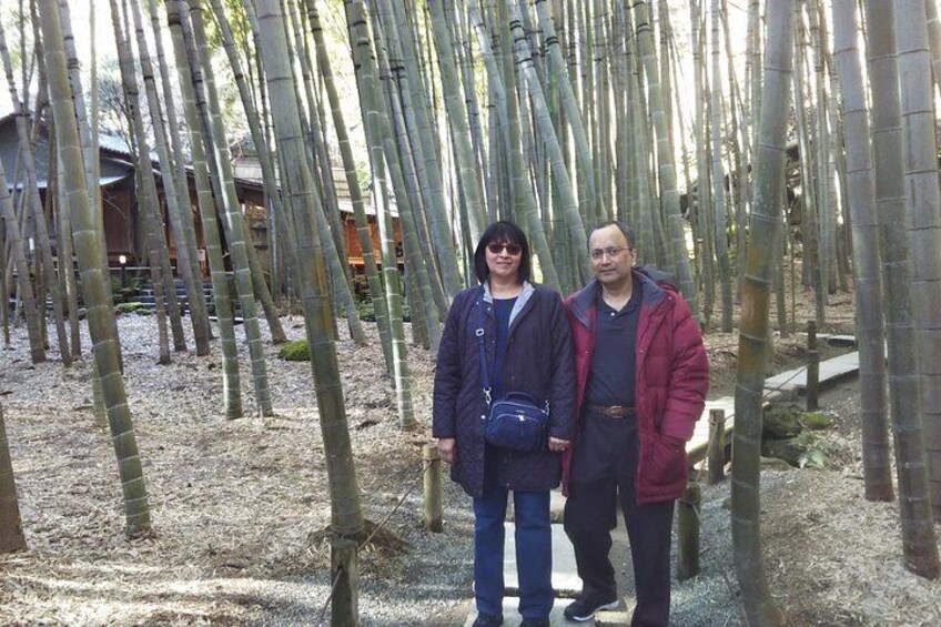 Kamakura Full-Day Private Trip (Tokyo departure) with Nationally-Licensed Guide