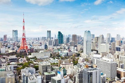 Tokyo 4 timers privat tur med myndighetslisensiert guide