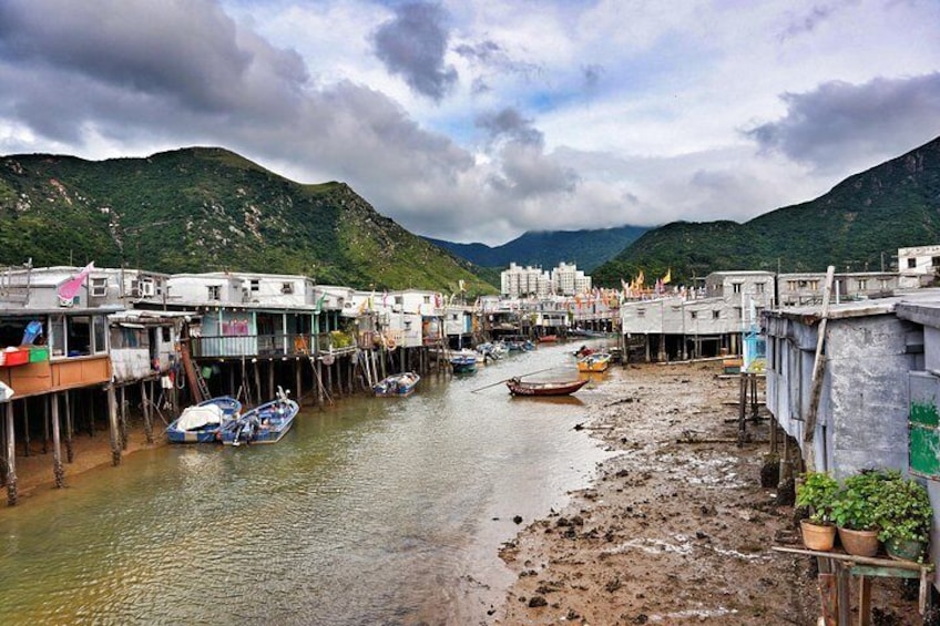 Full Day Private Tour of Lantau Island including Big Buddha and Tai O