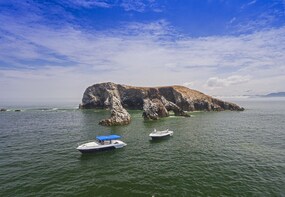 Fixed departures in a Premium Motorboat