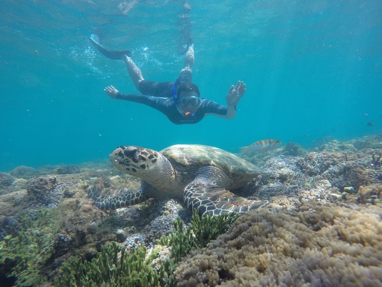 Private Lombok Tour: Gili Nanggu, Gili Tangkong & Gili Kedis