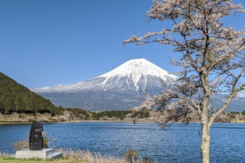 Private Tour: Chartered Car to Mt. Fuji Lake Kawaguchiko or Hakone and Lake Ashi