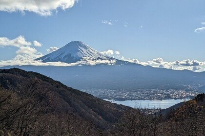 Privéautotocht naar de berg Fuji Lake Kawaguchiko of Hakone Lake Ashi