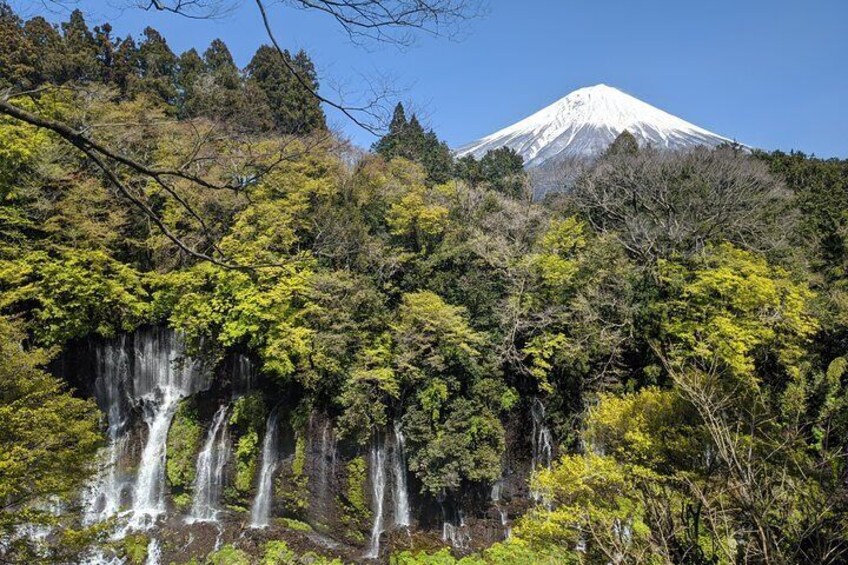 Private Tour: Chartered Car to Mt. Fuji Lake Kawaguchiko or Hakone and Lake Ashi