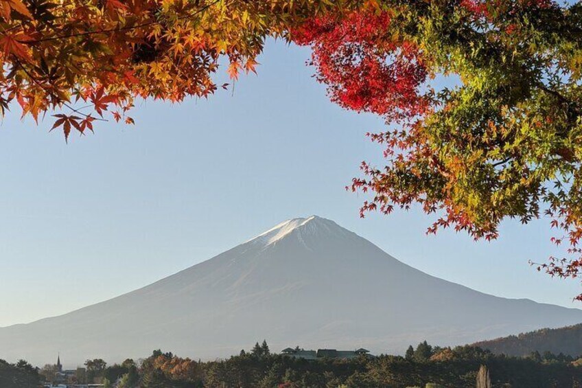 Lake Kawaguchi and maple leaf