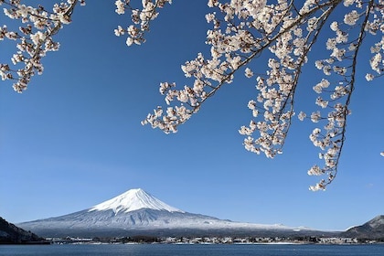 Private Tour: Chartered Car to Mt. Fuji Lake Kawaguchiko or Hakone and Lake...