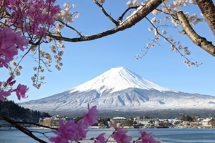 私人旅遊：特許車到山富士湖河口湖或箱根和蘆之湖
