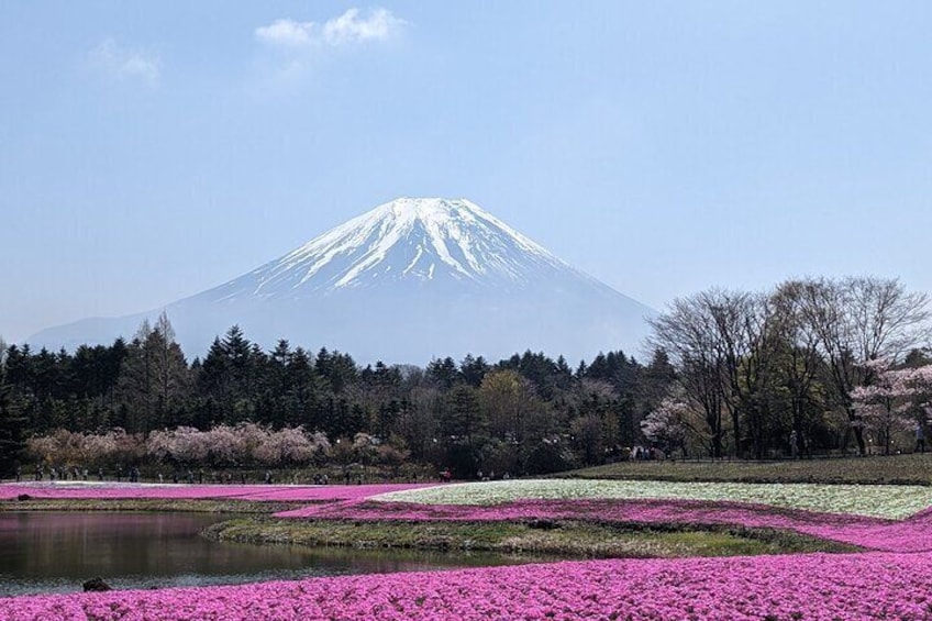 Private Car Mt Fuji and Gotemba Outlet in One Day from Tokyo