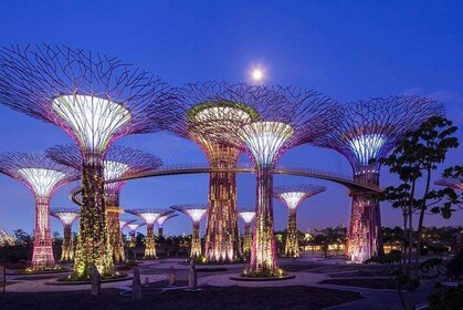 Gardens By the Bay with 2 Flower Dome & River Cruise With Transfer