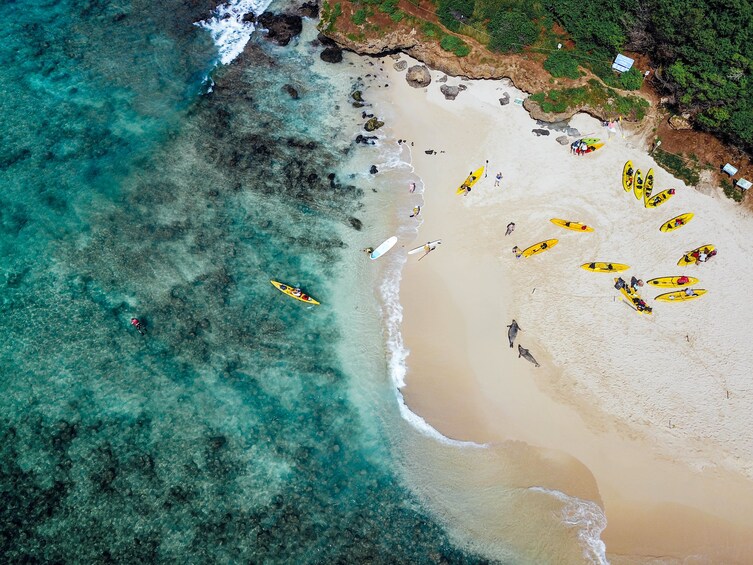 Self-Guided Kayak Tour
