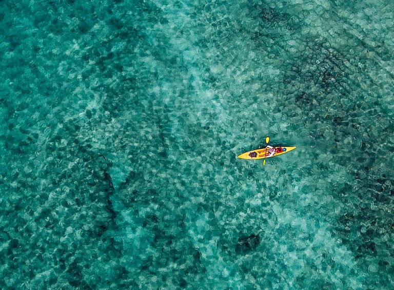 Self-Guided Kayak Tour