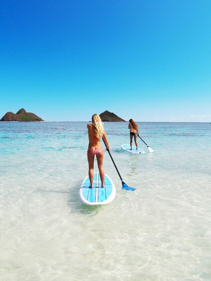 Stand Up Paddle Lesson in Kailua