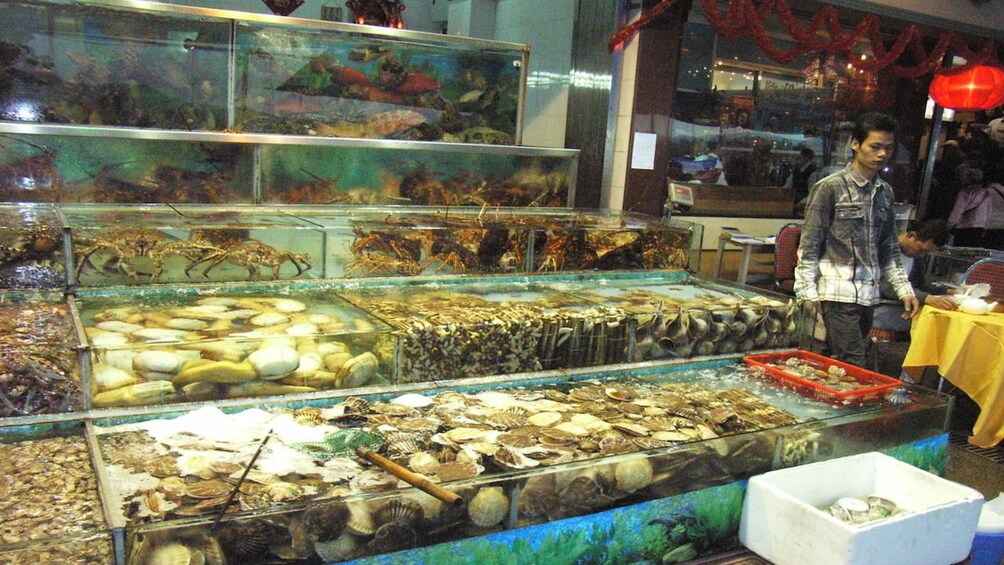 Sai Kung - The 'Back Garden' of Hong Kong