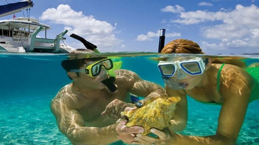 Snorkeling Trip to Tiran Island