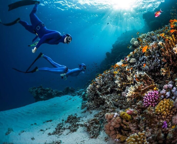 Snorkeling Trip to Tiran Island