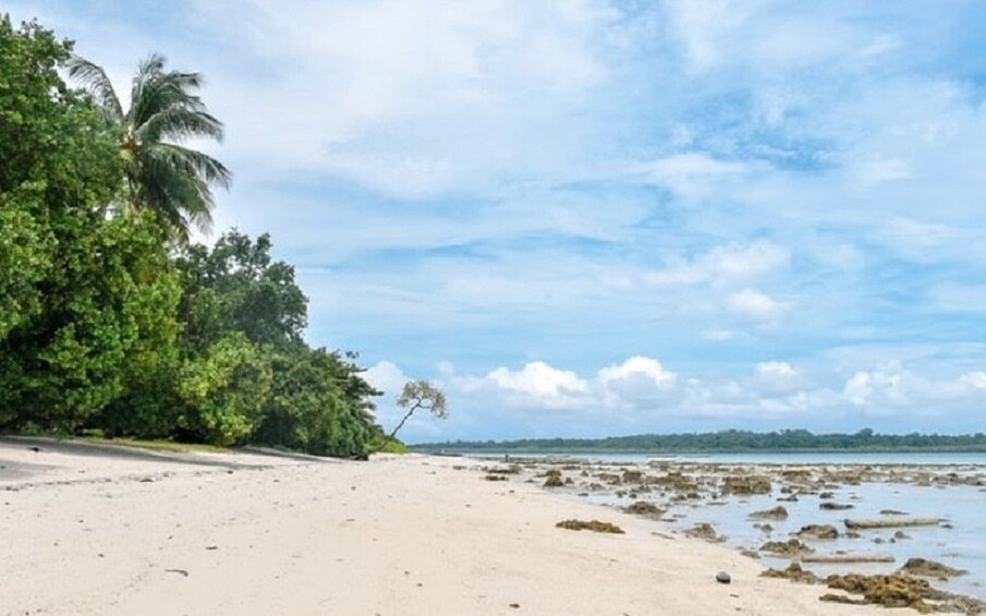 Show item 1 of 3. Radhanagar Beach and Kalapathar Beach Day Tour - Havelock
