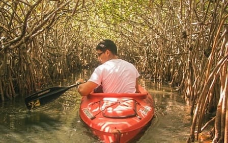 Mangrove Kayaking Tour – Havelock