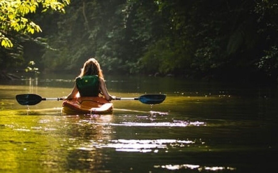 Mangrove Kayaking Tour – Havelock