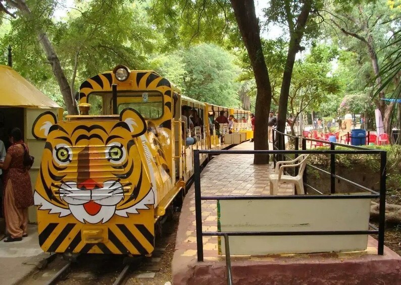 Hyderabad Zoological Park Tour With Safari 