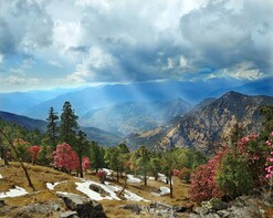 Himalaya Nag Tibba trek tour from Delhi
