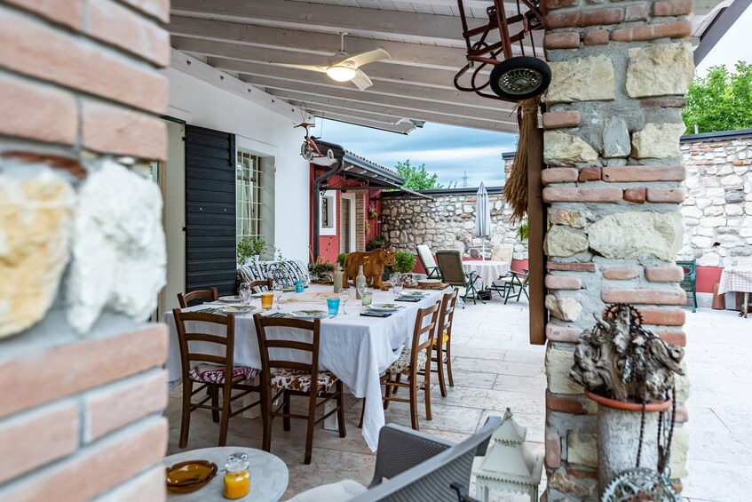 Show Cooking and Dining experience at a local's home in Chianti