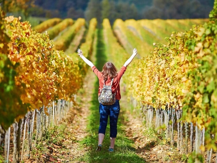 Show item 3 of 8. Penedès Hike & Wines