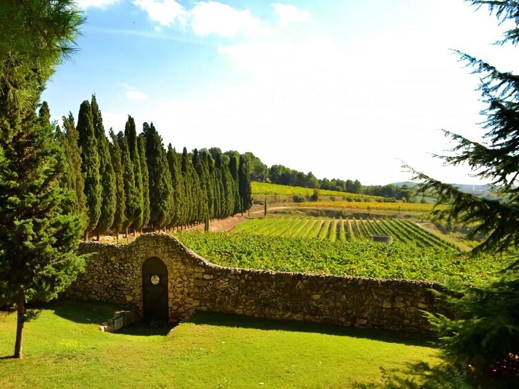 Show item 5 of 8. Penedès Hike & Wines
