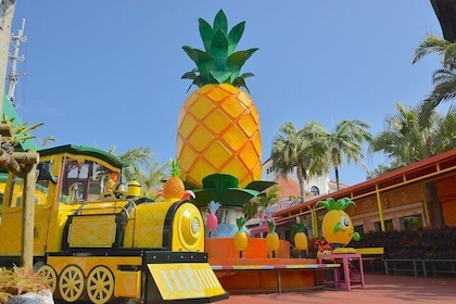 Nago Pineapple Park Attraction Tickets