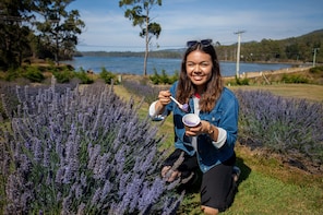 Port Arthur & Lavender Farm