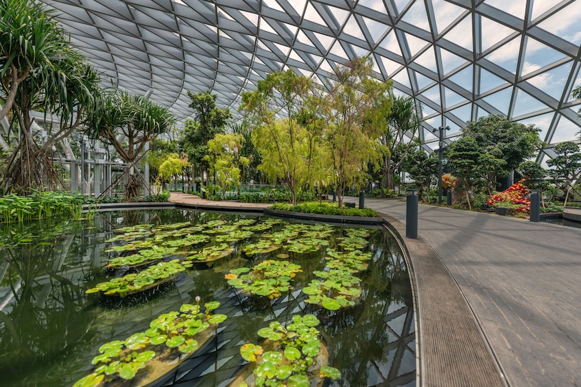 Jewel Changi Airport