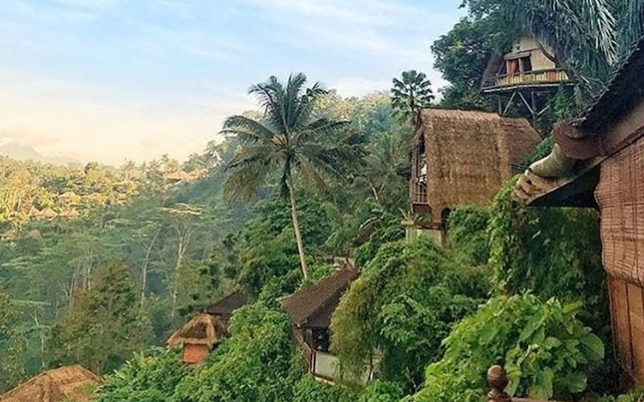 Eagle Nest Romantic Dining In Ubud