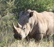 Chauffeur Guide Driven Private Tours in and around Cape Town