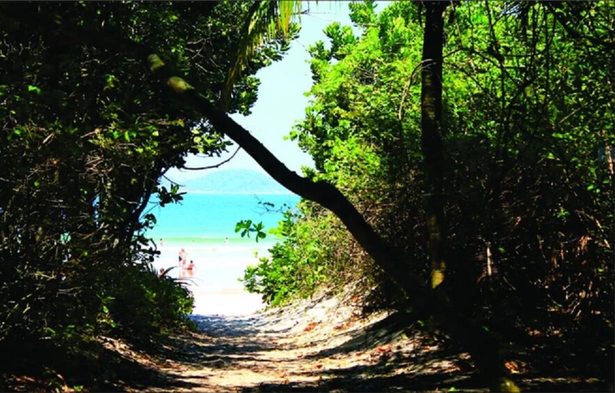  LOPES MENDES BEACH - Boat and trekking - Ilha Grande