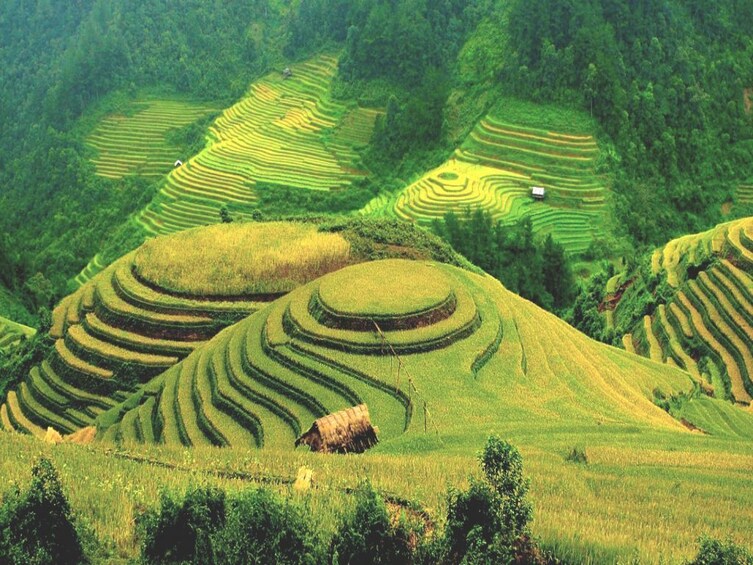 Ha Giang 3 days 2 nights every Monday, Wednesday and Friday